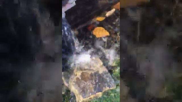 Draing hot tub 32 смотреть онлайн