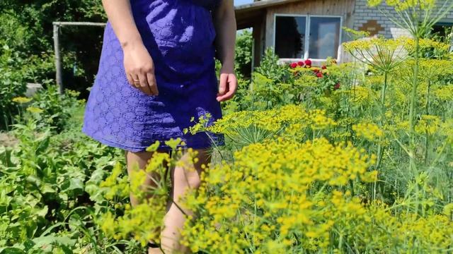Лето в Белорусской деревне/Готовлю шашлык времен СССР смотреть онлайн