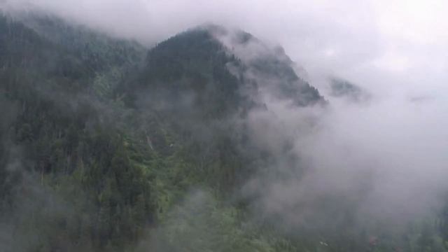 Молодой Пейзаж смотреть онлайн