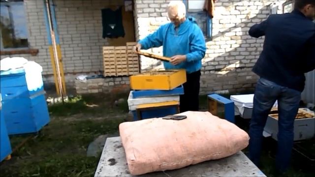 Пакеты бакфаста смотреть онлайн