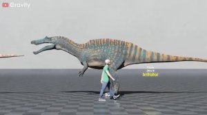 Сравнение размеров динозавров