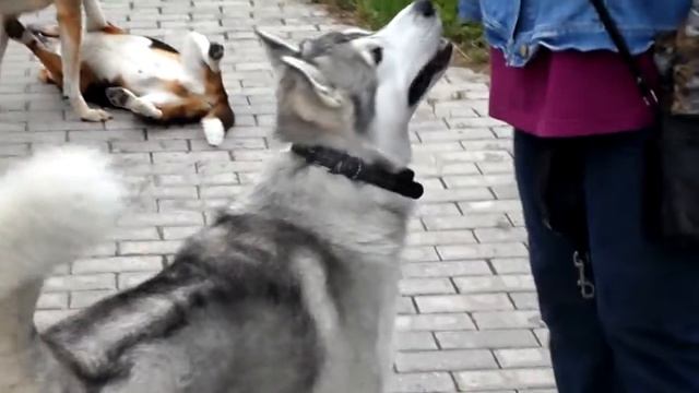 Доброе утро ч. 2 смотреть онлайн