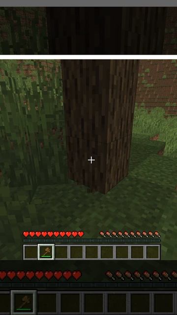 Датапак на физику деревье в Майнкрафте. Ссылка на датапак в описании!#shorts #minecraft #datapak #ъ смотреть онлайн