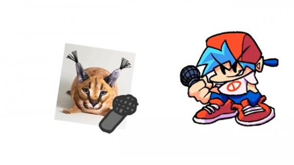 рэп шлёпы #блоптоп #шлепа