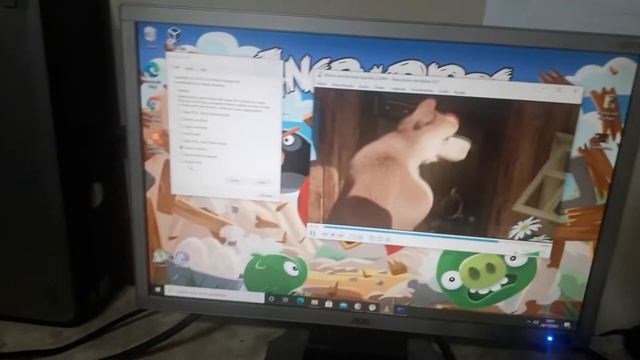 MASHA AND THE BEAR HAS BSOD