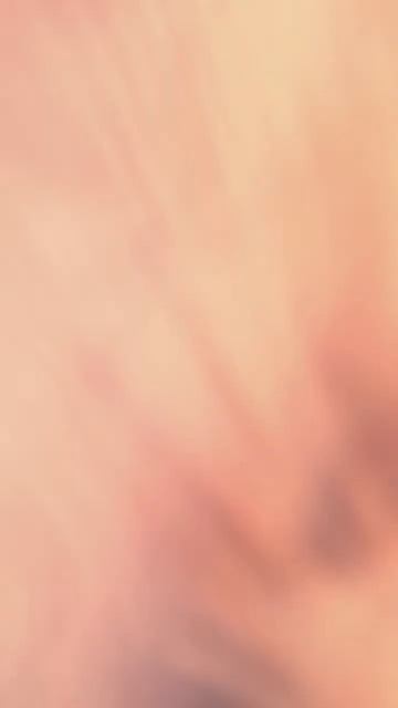 29 лютого 2024 р. смотреть онлайн