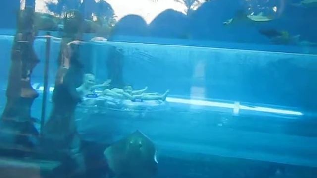 Magic tube in Atlantis water park смотреть онлайн
