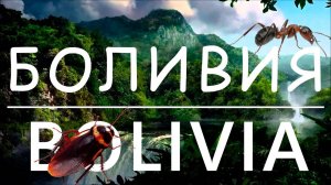 Самая ОПАСНАЯ страна - Путешествие в Боливию. УЖАСЫ джунглей!
