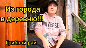 СНОВА МАГАЗИН. Грибной рай. Из города в деревню. Деревенские хлопоты