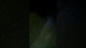 Люди в чёрном 2 серия