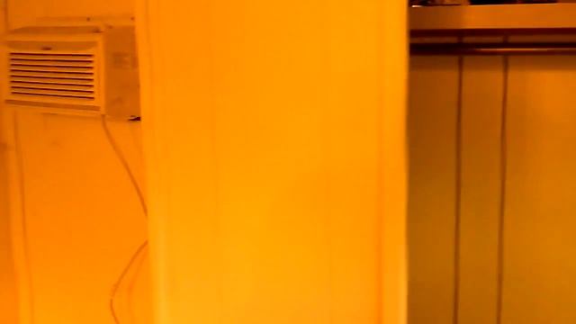 Week 5 1380 watt cfl , 2000 watt hps budding cycle смотреть онлайн