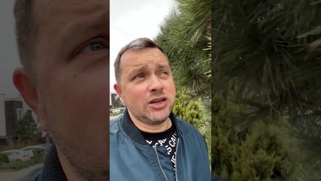 Новый формат видео на канале 40plus о крипте! #shorts #40plusокрипте #криптовалюта смотреть онлайн