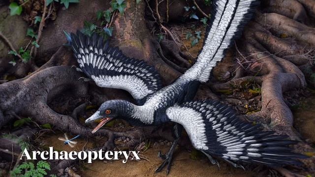 Archaeopteryx Sounds