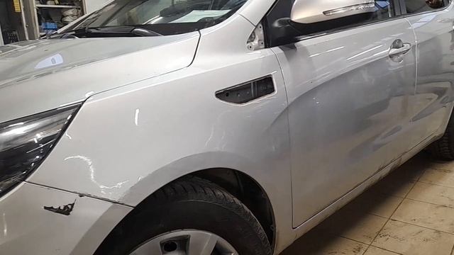 Звериная жизнь в полной мере