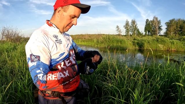 ЩУКИ АТАКУЮТ В ЛЕСУ на вечерней зорьке! Рыбалка на кренки и неогруженную резину. Летняя рыбалка 2024 смотреть онлайн