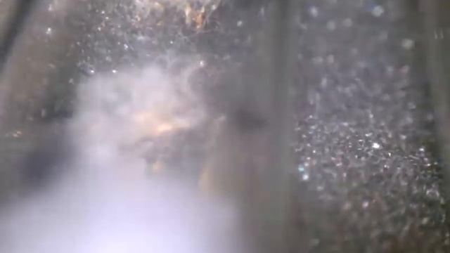 My Veromessor pergandei colonies 5-22-2014 смотреть онлайн