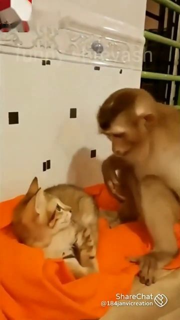 17 March 2023 смотреть онлайн