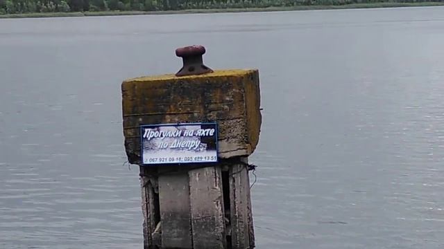 19 июня 2021 г.Новая Каховка. смотреть онлайн