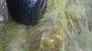 Резина Трекол по топкому болоту.