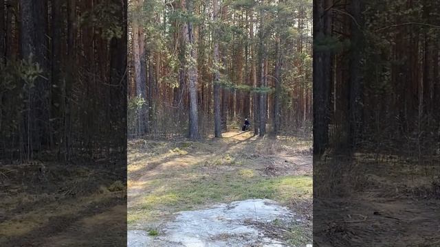 Квадроцикл. #квадроцикл #свойдом #лето2024 #драйв #природа #квадрик #катаниенаприроде #дети #жизнь смотреть онлайн