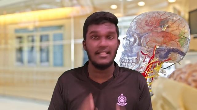 Best Time to Study - Scientifically Proven Methods in Sinhala смотреть онлайн