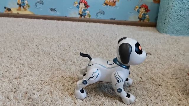 Танцующая собачка которая умеет чтото еще смотреть онлайн