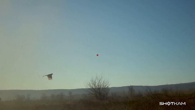 fazan 26 12 смотреть онлайн