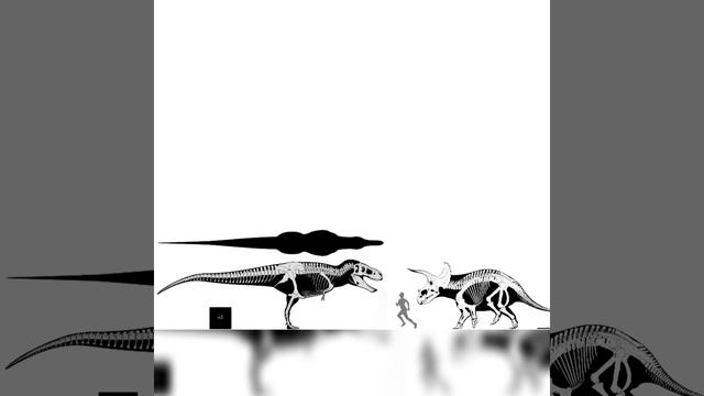 Tarbosaurus And Triceratops Size Comparison смотреть онлайн