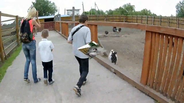 ЗООПАРК Лімпопо Меденичі смотреть онлайн