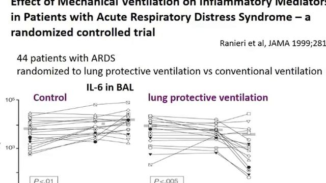 The lung and the kidneys Ostermann Marlies
