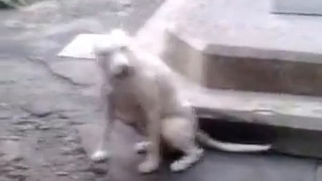 полюбила бит бокс смотреть онлайн