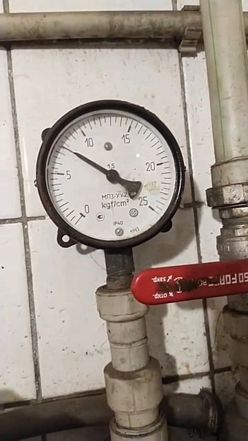 443 смотреть онлайн