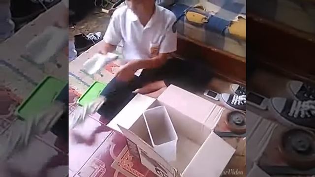 Hp tercanggih di indonesia parody смотреть онлайн