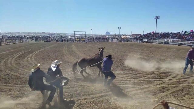 108th Northern Navajo Nation Fair,2019 Wild horse race смотреть онлайн