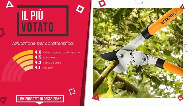 Troncarami - Top 5 - (QualeScelgo) смотреть онлайн