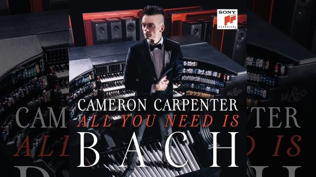 Trio Sonata for Organ No. 3 in D Minor, BWV 527: I. Andante смотреть онлайн