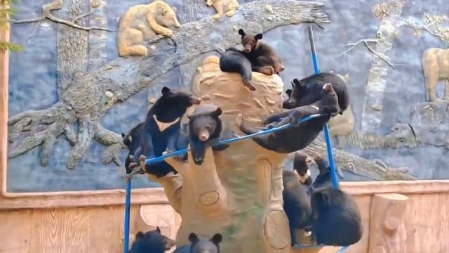 @ChinaTourVl888 смотреть онлайн