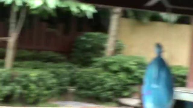 ХАЙНАНЬ,Горячие Источнмки-5 смотреть онлайн