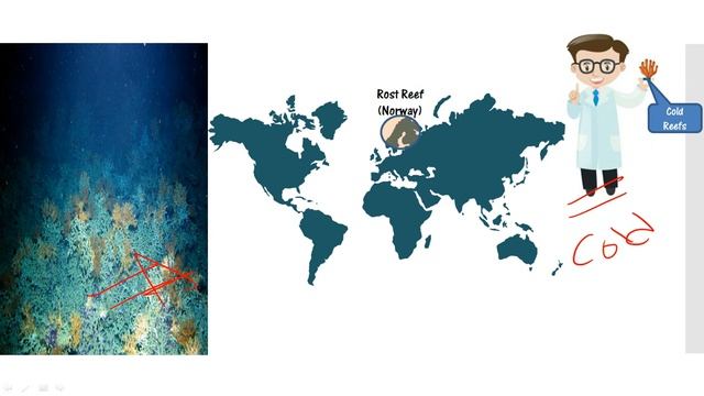 Everything about Coral reefs for UPSC | CAPF |NDA | State PSC смотреть онлайн