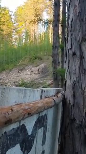 Изюбр смотреть онлайн