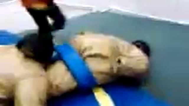 Amanda and Savannah sumo wrestling смотреть онлайн