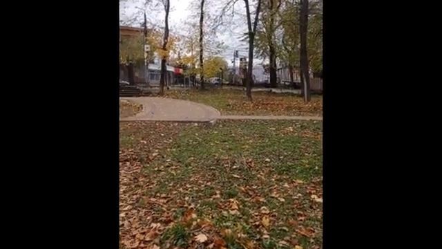 Птица в парке. смотреть онлайн