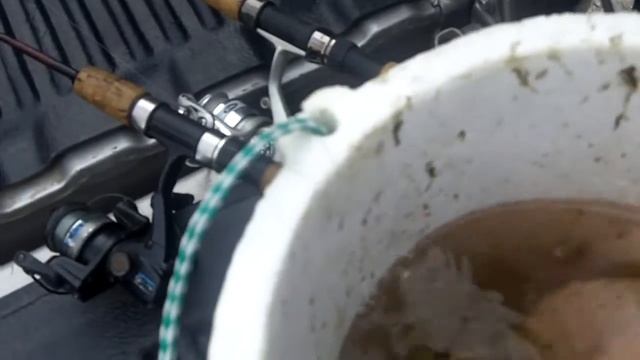 review of chub fishing смотреть онлайн