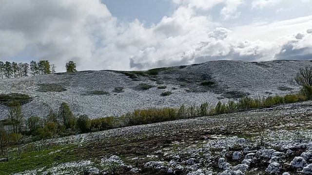 4 мая 2024 г. смотреть онлайн