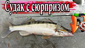 Таких СУДАКОВ вы точно не ловили. Рыбалка зимой, ловля судака на вибы.