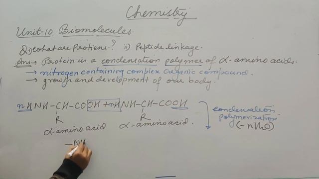 BIOMOLECULES (PART-3) |AMINO ACID|ZWITTER ION|PROTEINS|PEPTIDE BOND| NUCLEIC ACID|CLASS-12 CHEMISTR смотреть онлайн