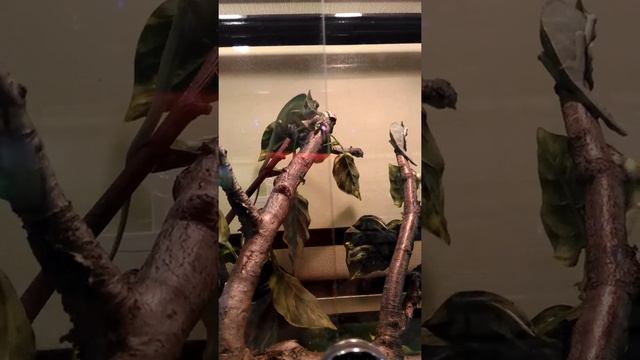 20 сентября 2016 г. смотреть онлайн