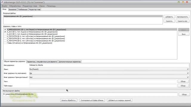 MKVMerge GUI программа для работы с видео / MKVMerge GUI program for working with video смотреть онлайн
