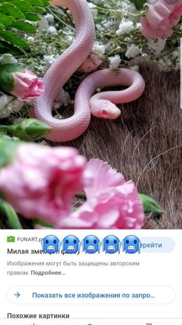 5 ноября 2022 г. смотреть онлайн