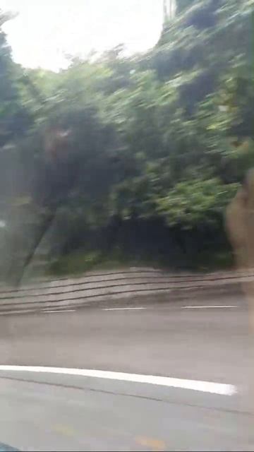 Tara Sa Hongkong Nga Dalan смотреть онлайн